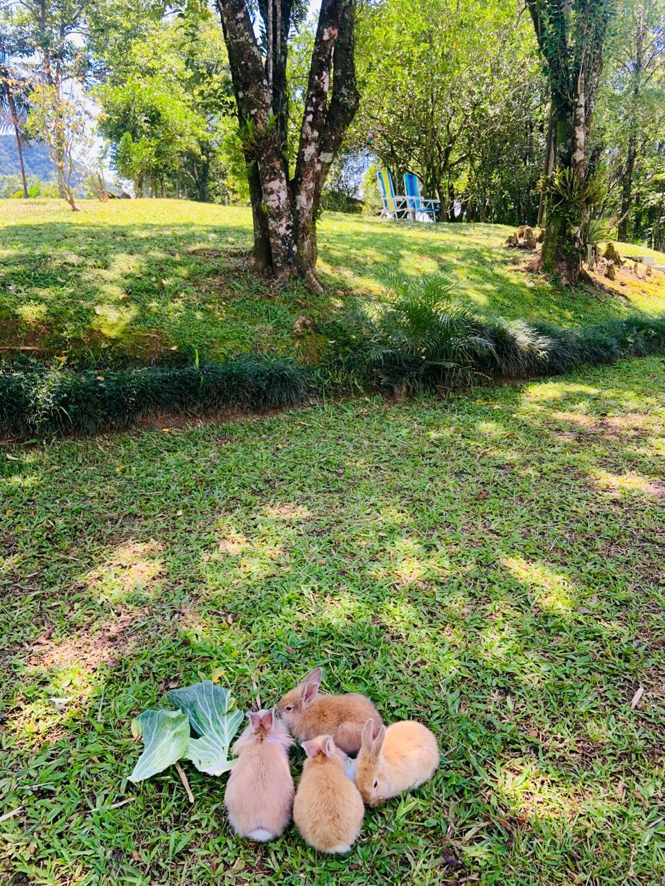  Saúde e Bem-Estar Emocional