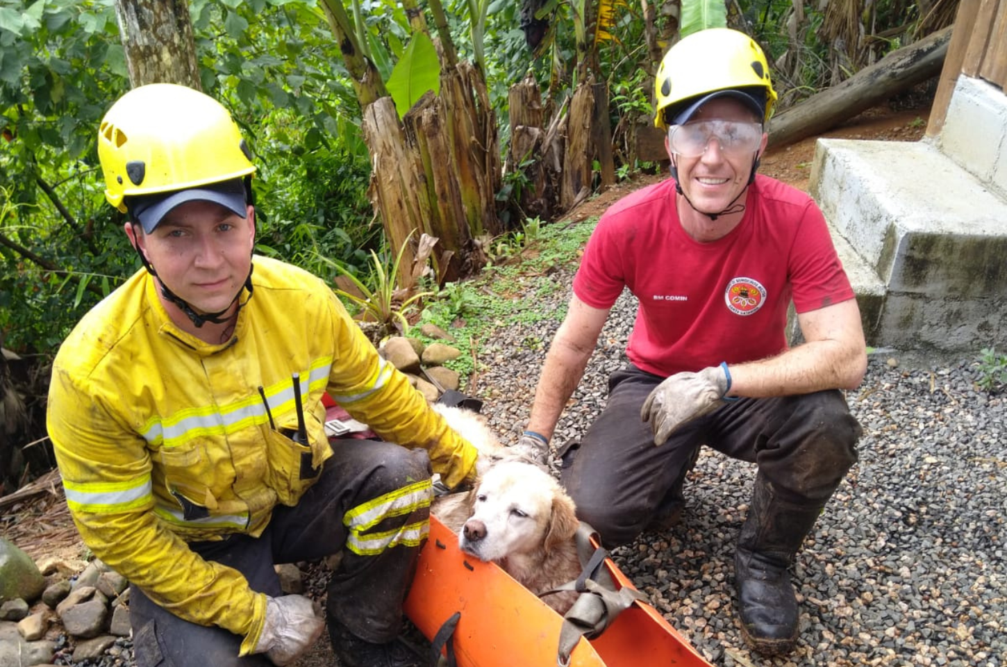 Bombeiros resgatam cachorro de 17 anos preso em área de difícil acesso em Siderópolis