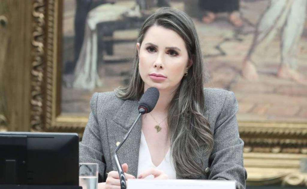Briga No PL De Santa Catarina por uma vaga ao Senado.