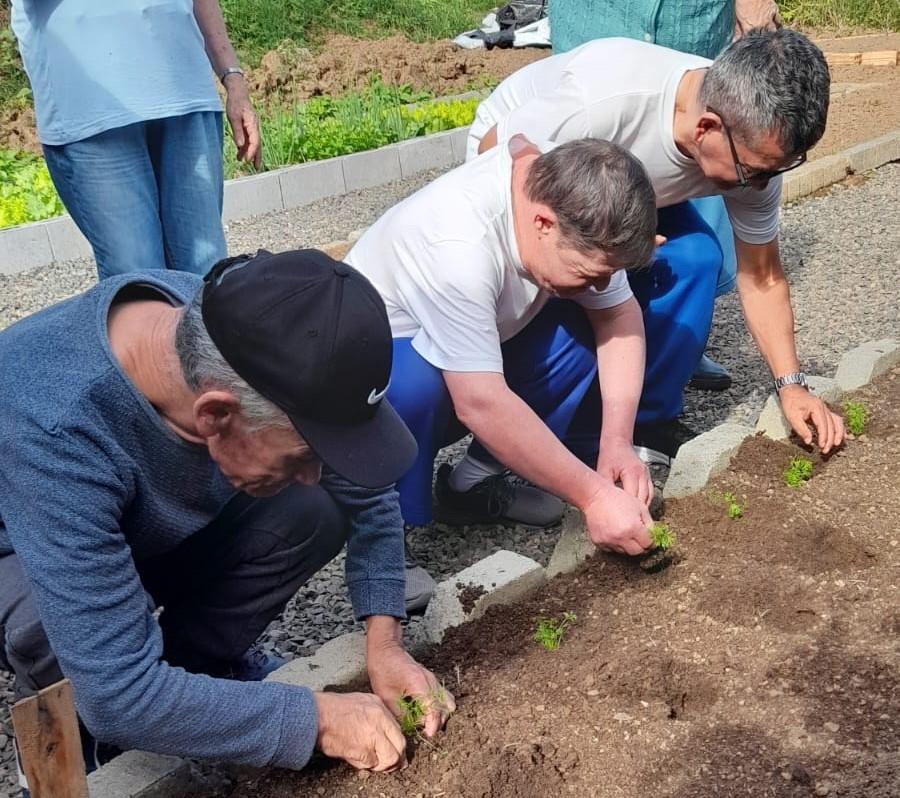 Do plantio à mesa: horta da APAE de Cocal do Sul incentiva sustentabilidade e autonomia aos alunos