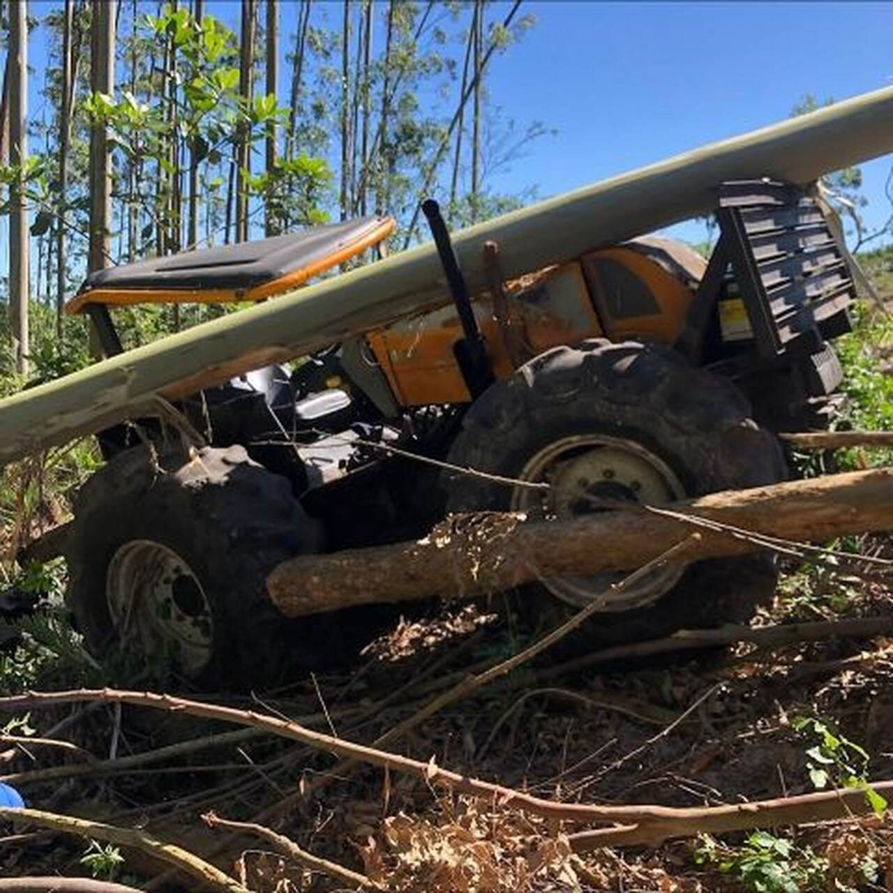 Homem morre após ser atingido por árvore enquanto trabalhava em Jaguaruna