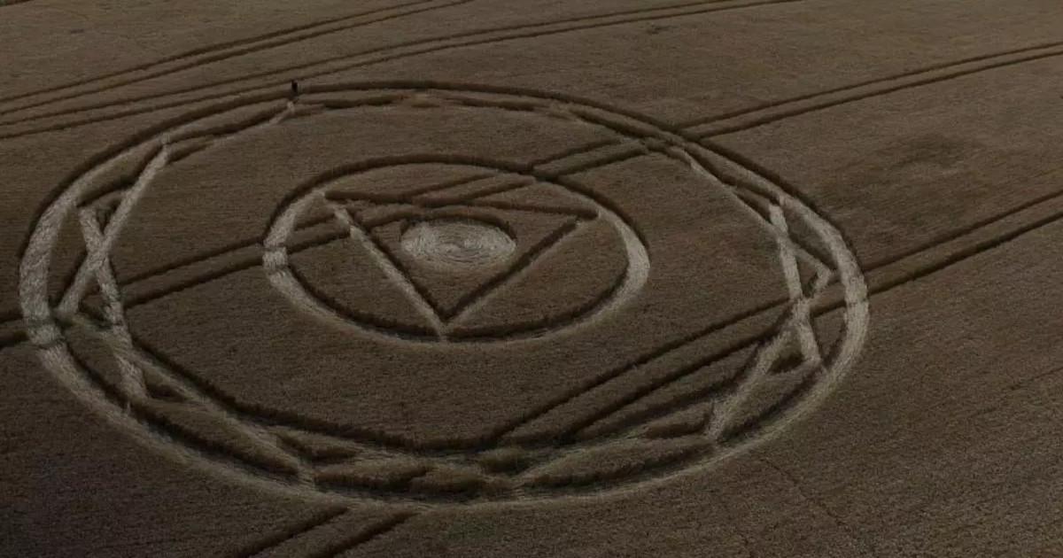 Lavoura amanhece com desenho enigmático e reacende mistério em Santa Catarina : “é bonito, mas dá medo”