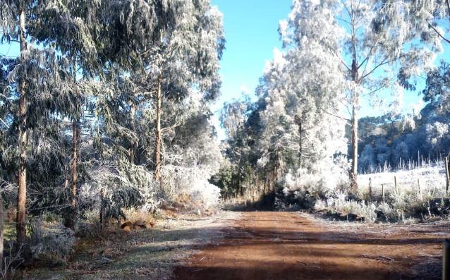 Frio intenso toma conta do Sul catarinense; confira a previsão para os próximos dias