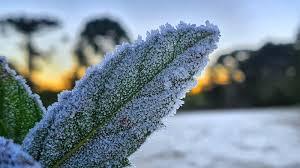 O inverno segue mostrando sua cara típica no sul do estado