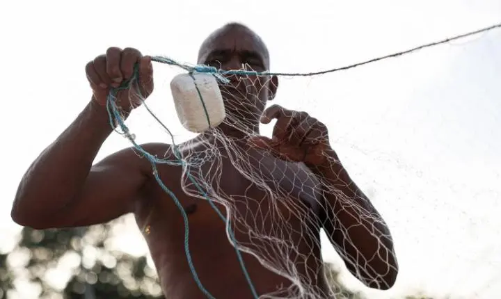 Deputados podem votar alterações em medida provisória que muda regras do seguro-defeso