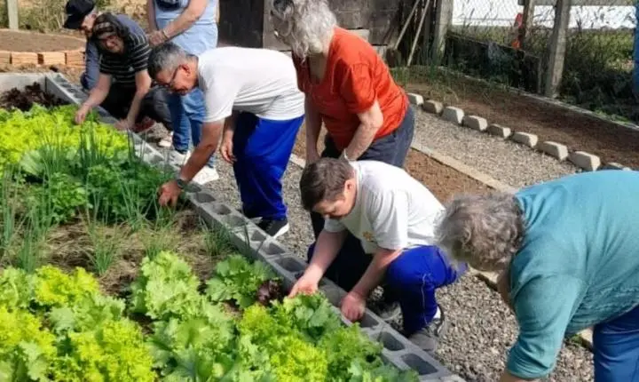 Do plantio à mesa: horta da APAE de Cocal do Sul incentiva sustentabilidade e autonomia aos alunos