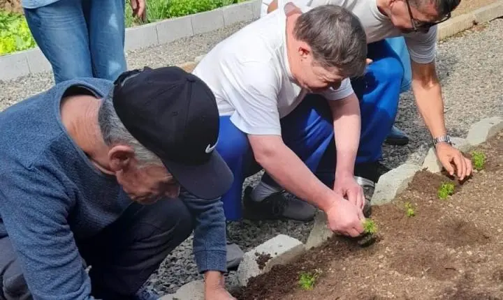 Do plantio à mesa: horta da APAE de Cocal do Sul incentiva sustentabilidade e autonomia aos alunos