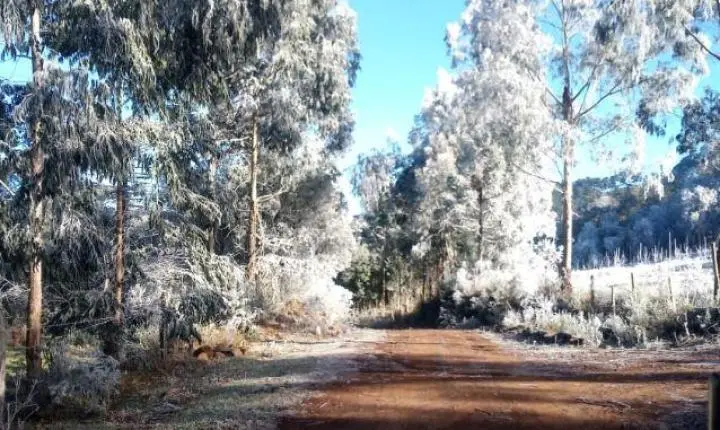 Frio intenso toma conta do Sul catarinense; confira a previsão para os próximos dias