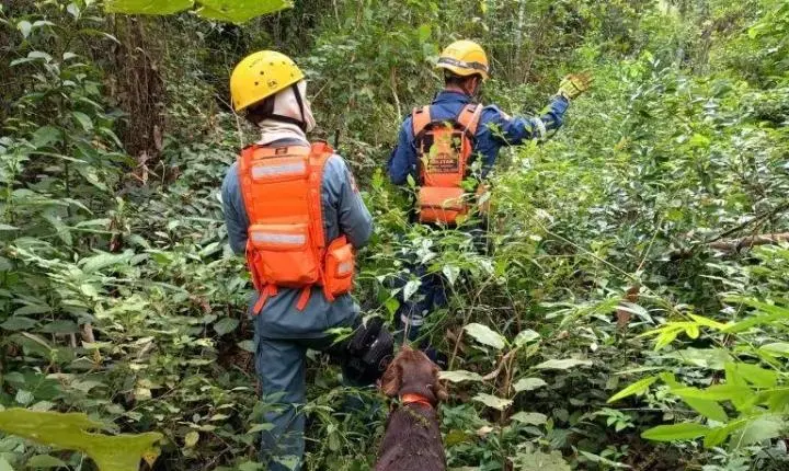 Homem desaparecido é encontrado morto após buscas