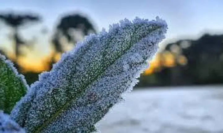 O inverno segue mostrando sua cara típica no sul do estado